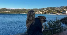 avatar petsitter