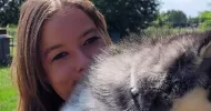 avatar petsitter