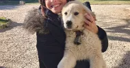 avatar petsitter