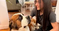 avatar petsitter