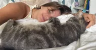 avatar petsitter