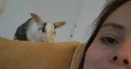avatar petsitter