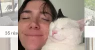 avatar petsitter