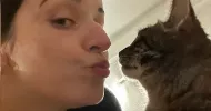 avatar petsitter