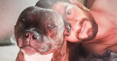 avatar petsitter