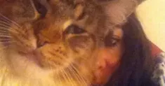 avatar petsitter