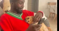 avatar petsitter
