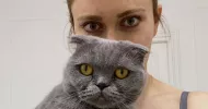 avatar petsitter