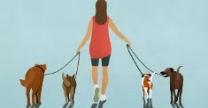 avatar petsitter