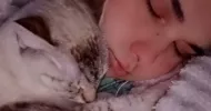 avatar petsitter