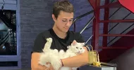 avatar petsitter