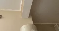 avatar petsitter