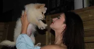 avatar petsitter