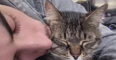 avatar petsitter