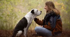 avatar petsitter