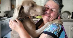 avatar petsitter
