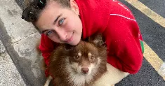 avatar petsitter