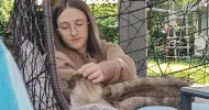 avatar petsitter