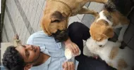 avatar petsitter