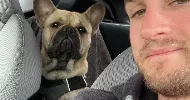 avatar petsitter
