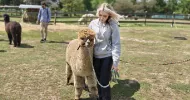 avatar petsitter