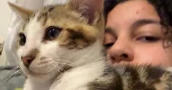 avatar petsitter