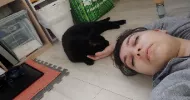 avatar petsitter