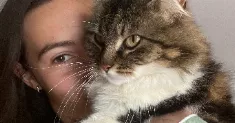 avatar petsitter