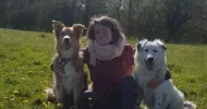 avatar petsitter