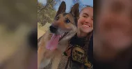 avatar petsitter