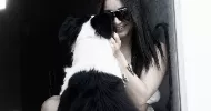avatar petsitter