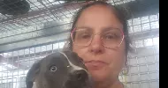 avatar petsitter