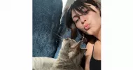 avatar petsitter