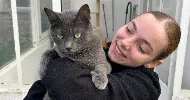 avatar petsitter
