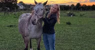 avatar petsitter
