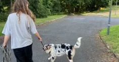 avatar petsitter