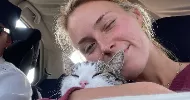 avatar petsitter