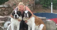 avatar petsitter