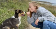 avatar petsitter