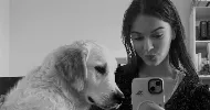 avatar petsitter