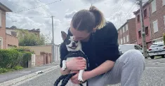 avatar petsitter