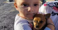 avatar petsitter
