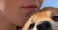 avatar petsitter