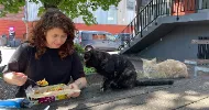 avatar petsitter