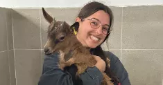 avatar petsitter
