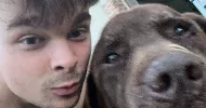 avatar petsitter