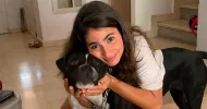 avatar petsitter