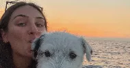 avatar petsitter