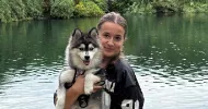 avatar petsitter