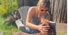avatar petsitter